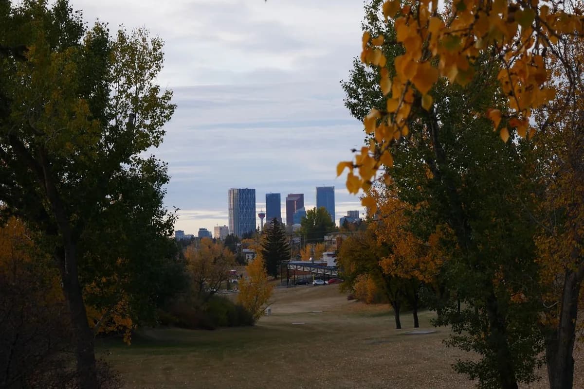 Downtown Calgary skyline framed by autumn trees