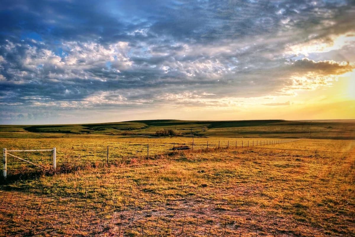Open grassland at sunrise